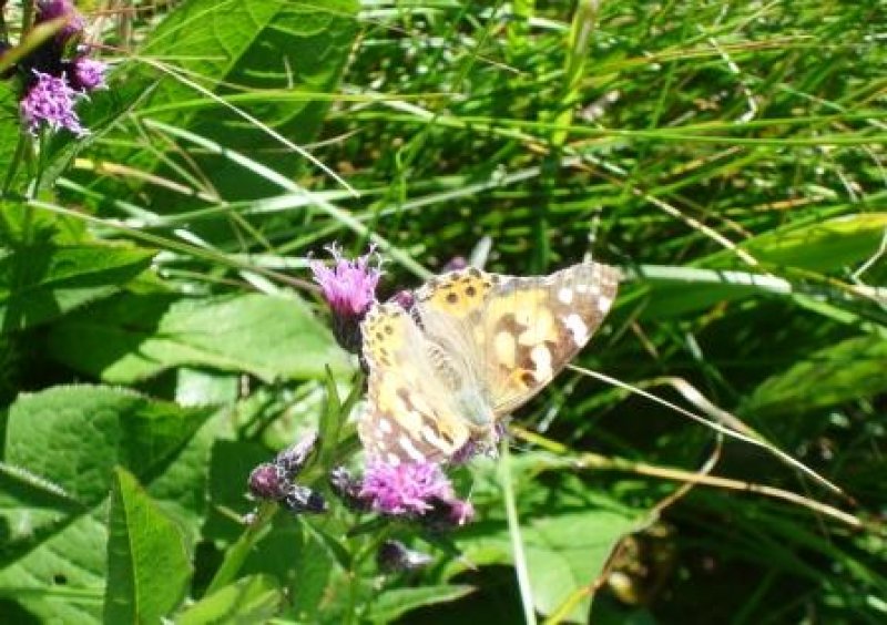 Nationalpark Risnjak 17
